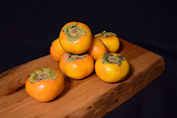 Fuyu Japanese Persimmon (Diospyros kaki 'Fuyu') at Valley View Farms